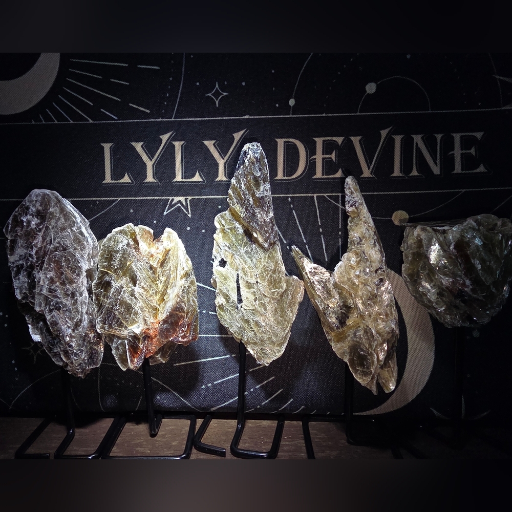 Golden Muscovite W/ Tourmeline & Or Garnet